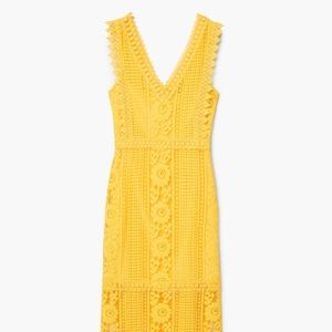 Mango Lace Appliqué Dress